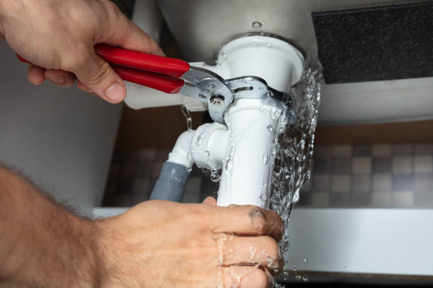 Best Mold removal after water damage  in Broussard, LA