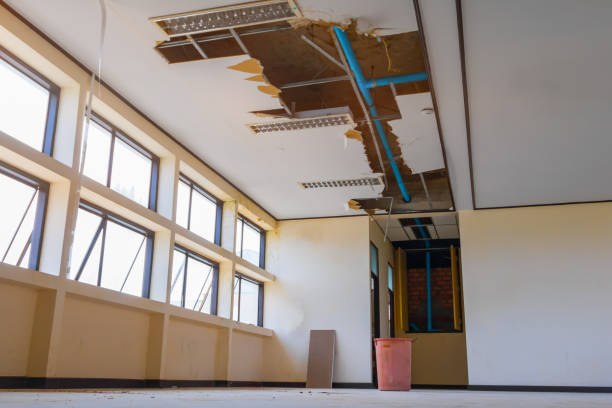 Best Water damage restoration insurance claims  in Broussard, LA