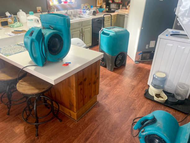 Best Water damage contractors near me  in Broussard, LA