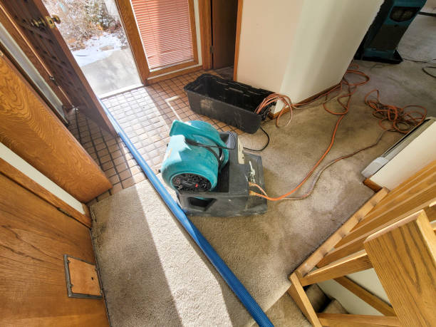Best Commercial water damage restoration  in Broussard, LA