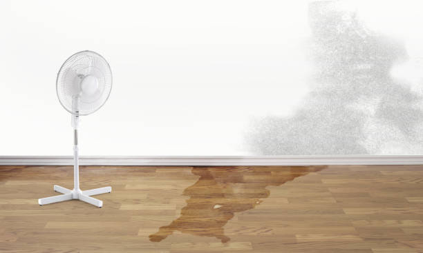 Trusted Broussard, LA Water damage restoration Experts