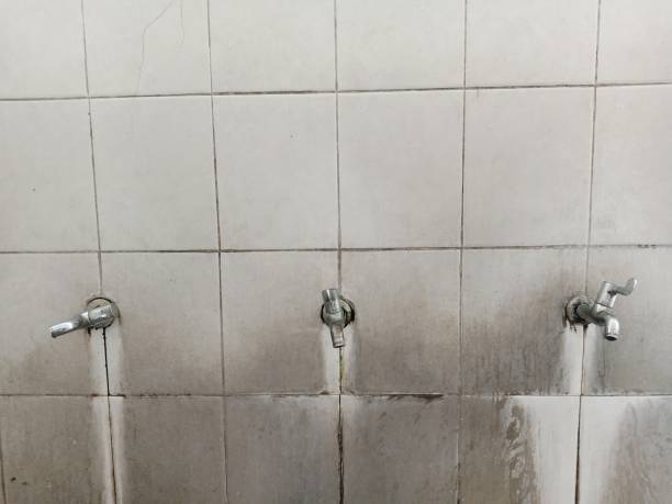 Best Fire Damage Restoration  in Broussard, LA